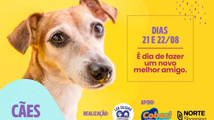 Blumenau – Fim de semana tem ‘Feira de Adoção de Cães’ no Norte Shopping