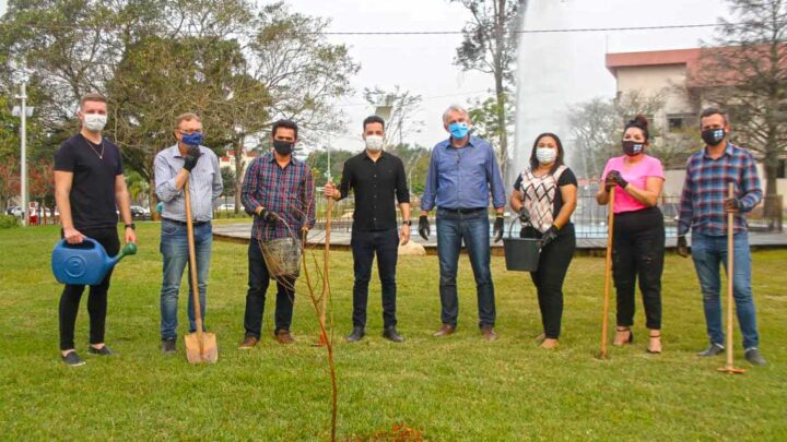 Prefeitura de Timbó e SAMAE realizam plantio de árvores no Parque Central