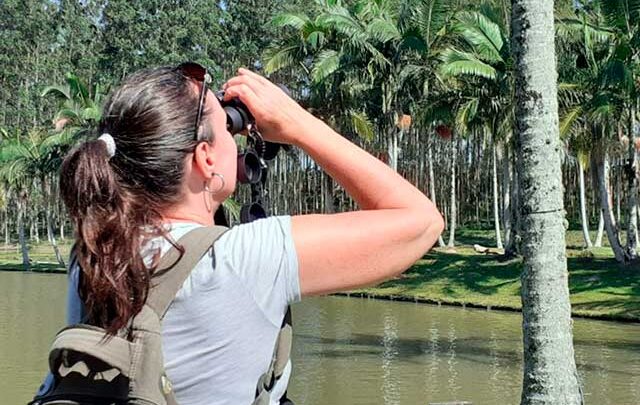 Ecoturismo l Roteiro de Observação de Aves será lançado na Costa Verde & Mar