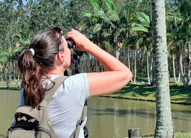 Ecoturismo l Roteiro de Observação de Aves será lançado na Costa Verde & Mar