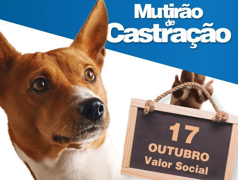 Indaial – Abertas as inscrições para o oitavo Mutirão de Castração Animal