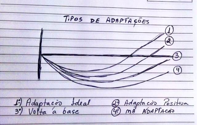 O processo de adaptação no treinamento esportivo