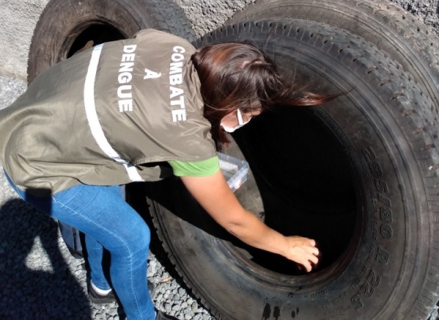 Vigilância Sanitária de Timbó alerta para foco de Aedes Aegypti no Centro do município