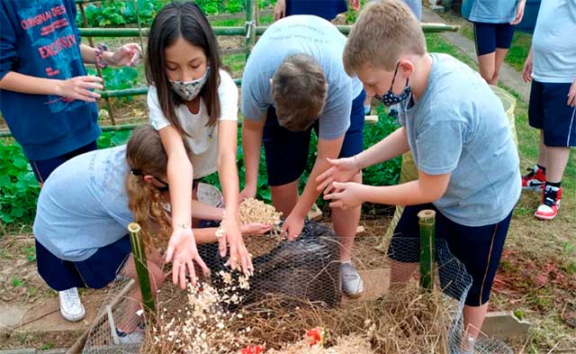 Pomerode (SC) desenvolve projeto inédito de implantação de compostagem nas escolas