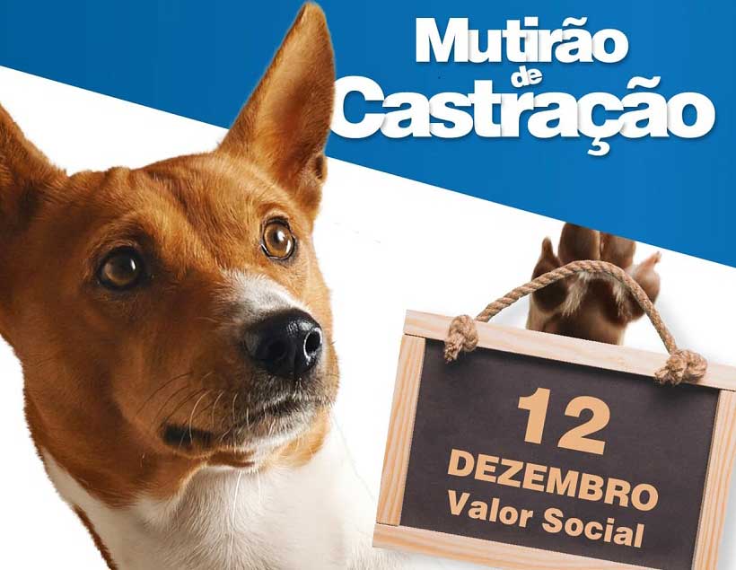 Indaial – Abertas as inscrições para o décimo Mutirão de Castração Animal