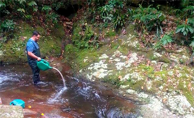 Prefeitura de Ascurra realiza aplicação de produto para combate ao borrachudo