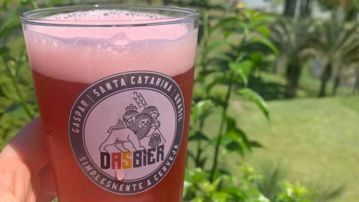 Os desafios e particularidades da Catharina Sour, primeiro estilo brasileiro de cerveja