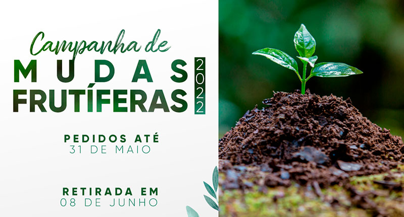 Prefeitura de Timbó inicia Campanha de Frutíferas 2022