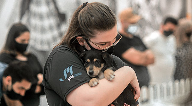 ADOÇÃO DE ANIMAIS | ‘Feira Pet’ do Norte Shopping terá cães adultos e filhotes