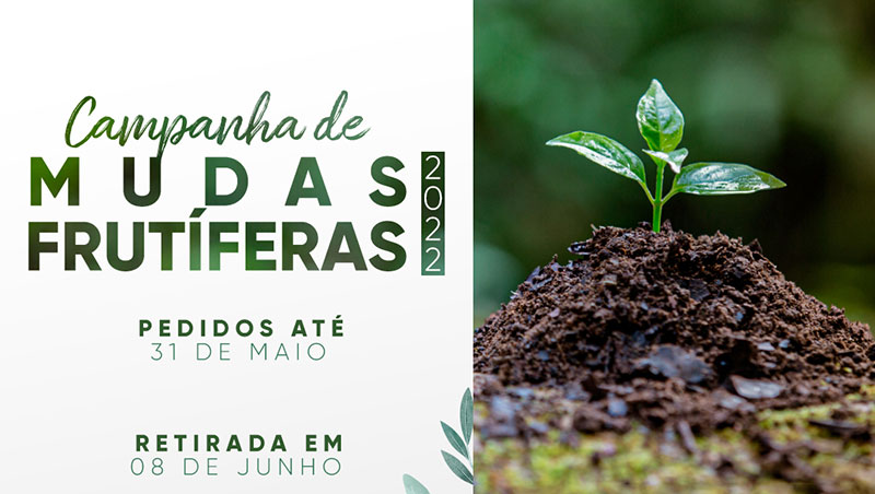 Amanhã é o último dia para pedidos da Campanha de Frutíferas de Timbó