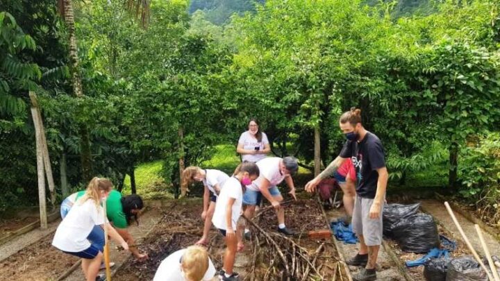 PRORROGADO l Interessados em participar da programação do Junho Verde devem inscrever ações até 22 de maio