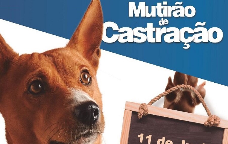 Abertas as inscrições para o 5° Mutirão de Castração Animal de 2022 em Indaial