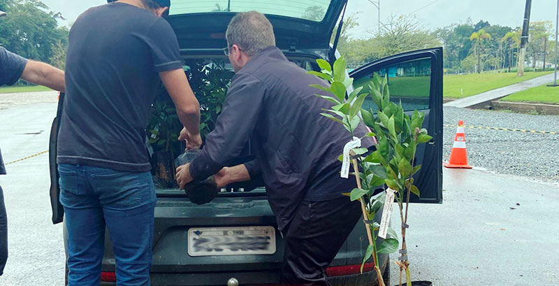 Timbó – Departamento de Agricultura entrega mais de 1500 mudas da Campanha de Frutíferas 2022