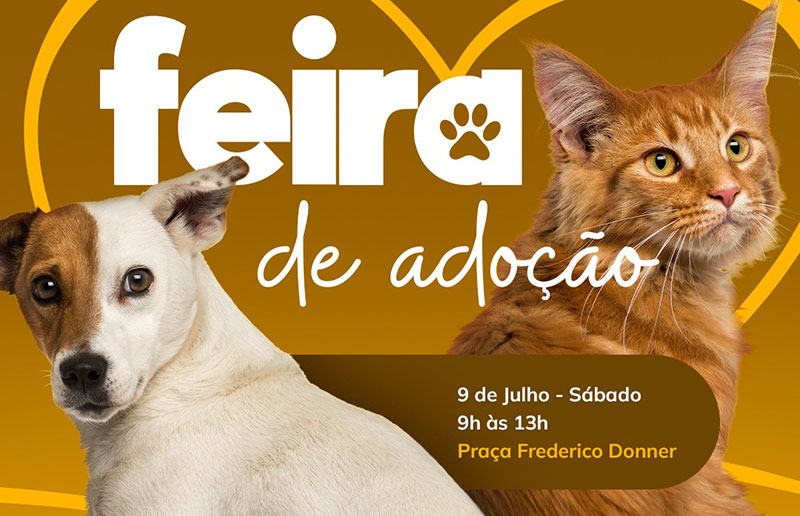 Feira de Adoção de cães e gatos acontece neste sábado em Timbó