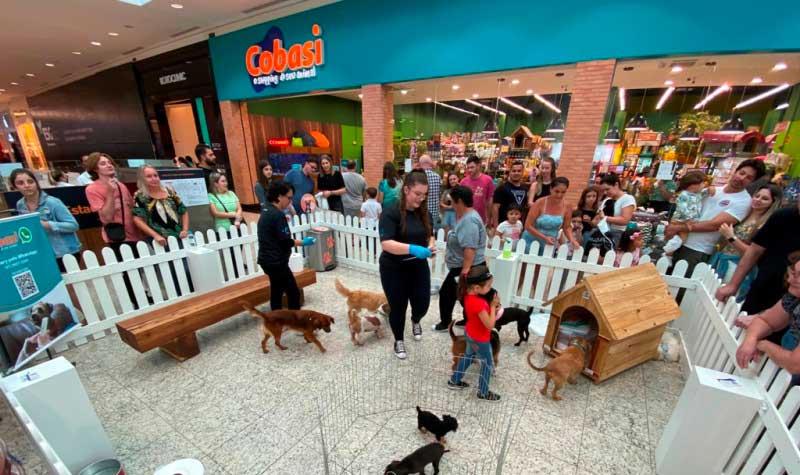 ADOÇÃO DE CÃES | Norte Shopping promove “Feira de Adoção” em parceria com o Lar Silvana