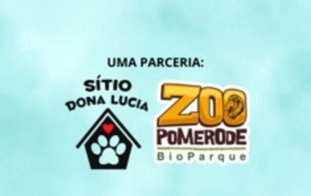 Feira de adoção de pets será realizada no Bioparque Zoo Pomerode