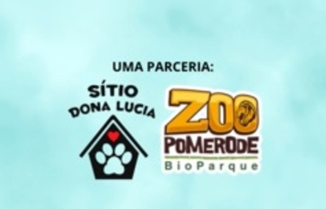 Feira de adoção de pets será realizada no Bioparque Zoo Pomerode