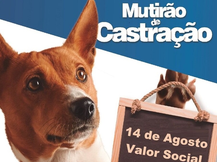 Indaial – Abertas as inscrições para o 7° Mutirão de Castração Animal de 2022