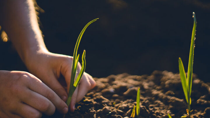 UNIASSELVI Ituporanga realiza o 1° Seminário de Agronomia