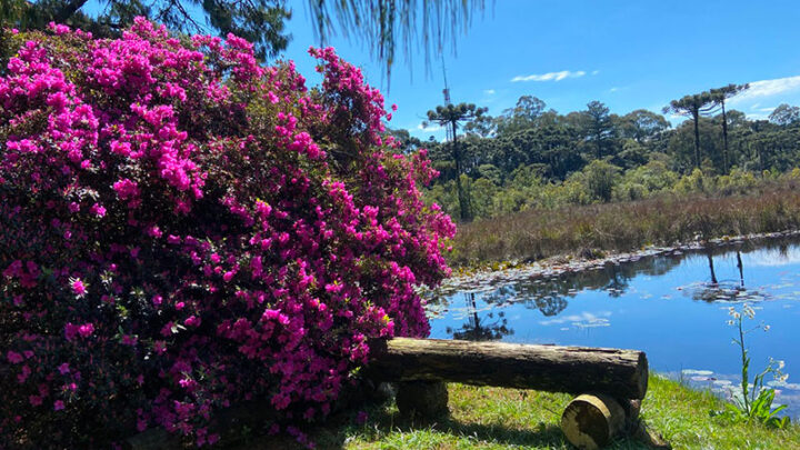 Um parque inclusivo na Serra Gaúcha