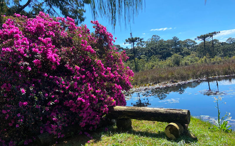 Um parque inclusivo na Serra Gaúcha