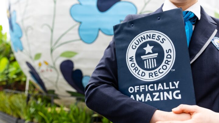 Pomerode (SC) conquista recorde de maior ovo decorado do mundo e agora terá dois registros no Guinness World Records