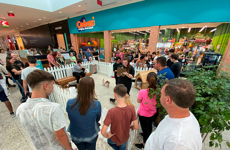 Fim de semana tem ‘Feira de Adoção’ no Norte Shopping