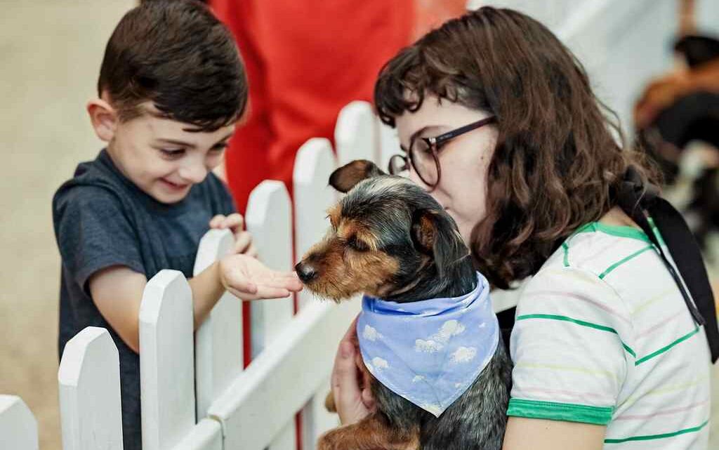 PETS | Fim de semana terá ‘Feira de Adoção’ no Norte Shopping