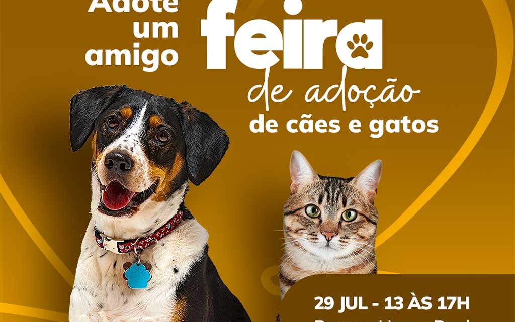 Feira de adoção de cães e gatos acontece neste sábado em Timbó