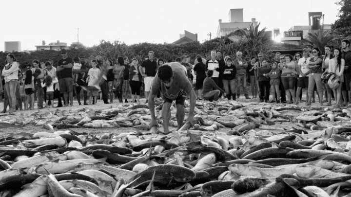 Samuel de Oliveira lança livro de fotografia sobre a pesca artesanal da tainha, neste sábado (16/09), na Casa de Cultura Dona Tila, em Bombinhas