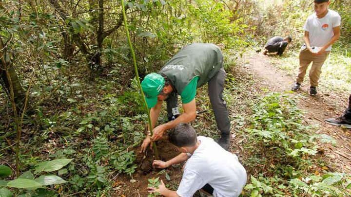 Grupo ND é a única empresa de comunicação do país que possui um programa de neutralização de carbono