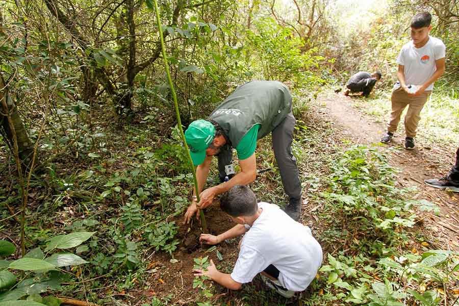 Grupo ND é a única empresa de comunicação do país que possui um programa de neutralização de carbono