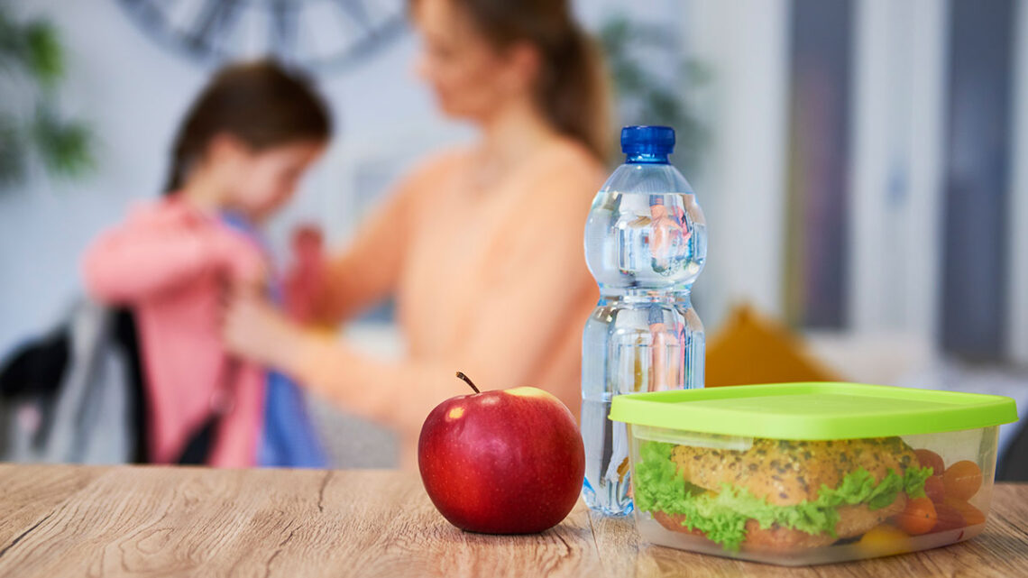 Nutrição na lancheira: Especialista orienta cuidados com lanches na volta às aulas