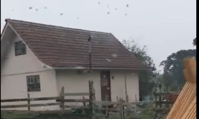 Primeira Neve do ano(2024) é registrada em São Joaquim