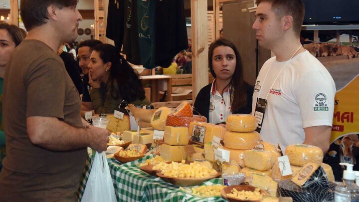 Prêmio Queijo Brasil começa nesta quinta-feira (11) e apresenta diversidade do produto ao público em Blumenau