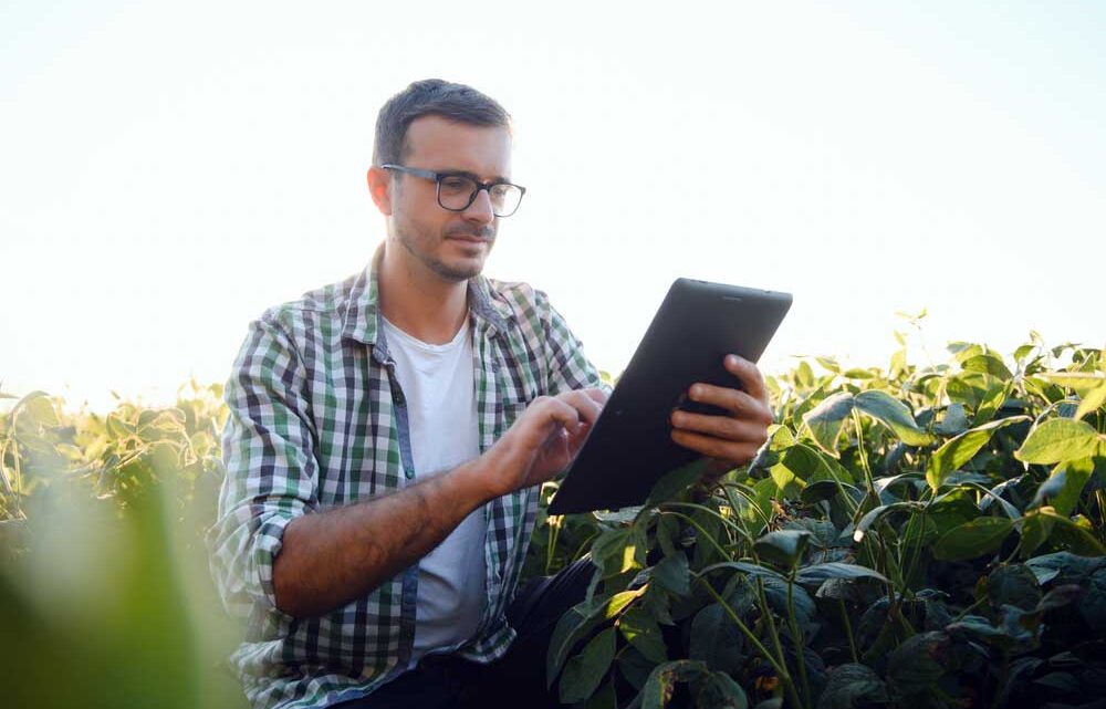 Com expansão do agronegócio, UNIASSELVI oferece cursos voltados para o setor