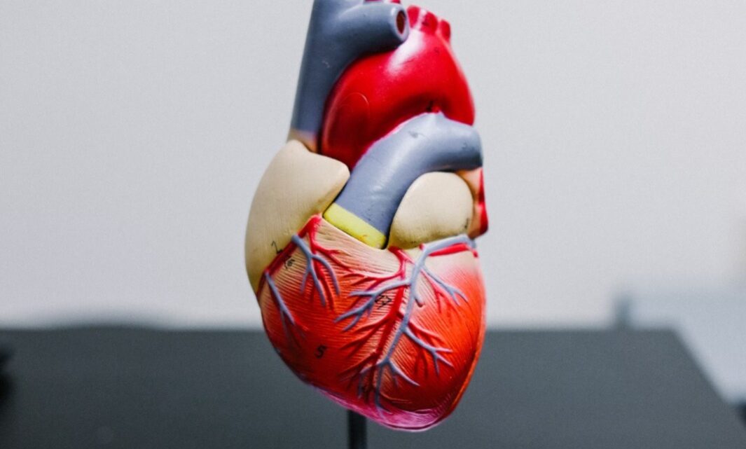 Mês de combate ao colesterol: Alerta para a saúde cardiovascular