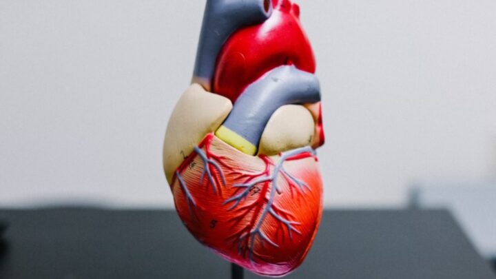 Mês de combate ao colesterol: Alerta para a saúde cardiovascular