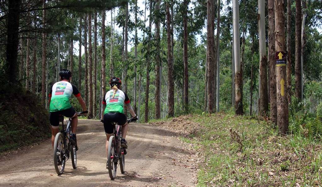 5 lugares imperdíveis para conhecer em Pomerode no Verão