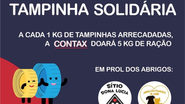 Gincana beneficente apoia abrigos de animais e incentiva doação de sangue em Blumenau; veja como participar