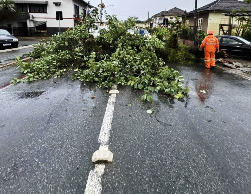 Timbó – Fortes ventos e trovoada causam estragos na cidade na tarde de quinta-feira